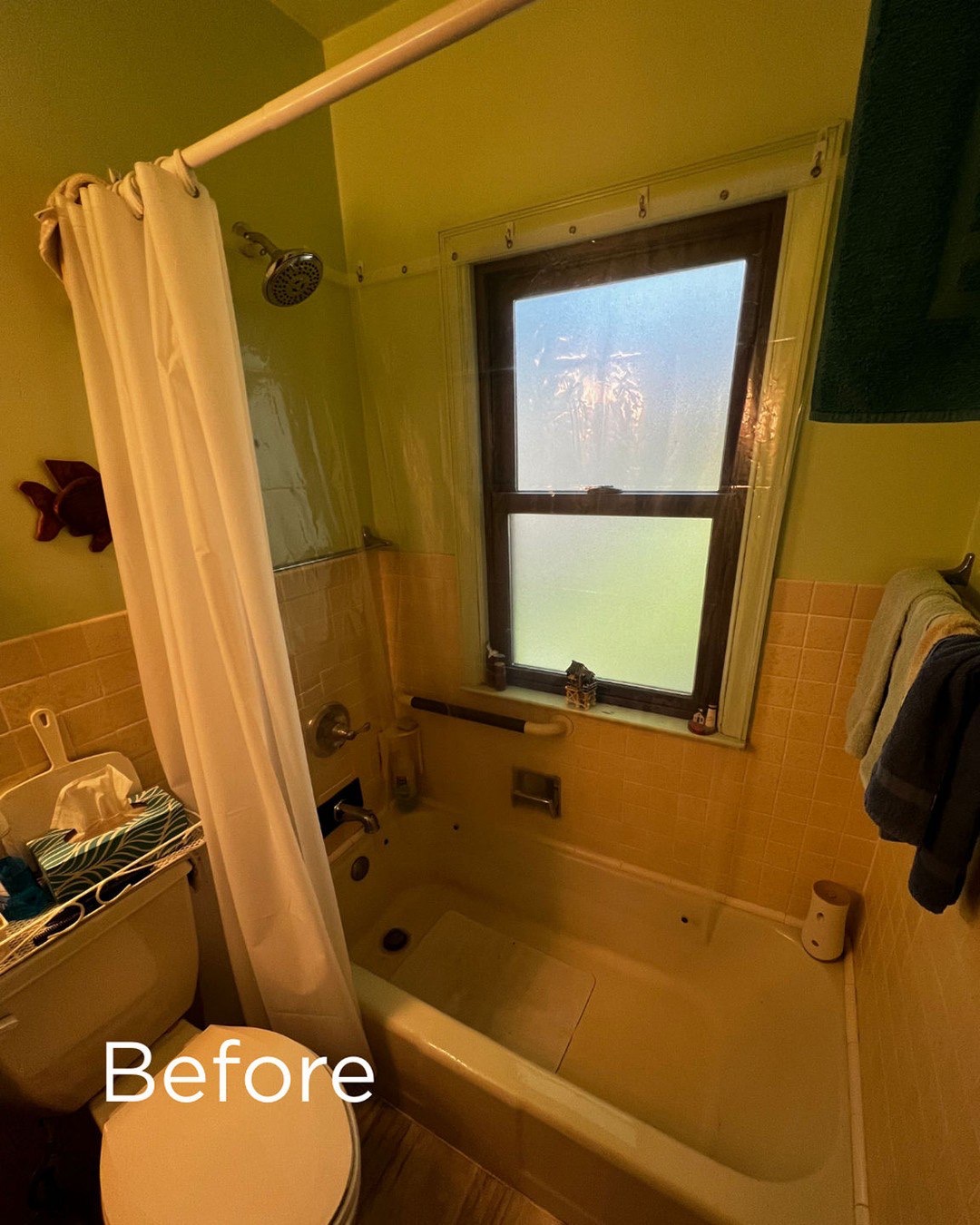 Before Image
